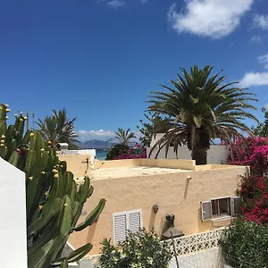 Hoplaco Corralejo