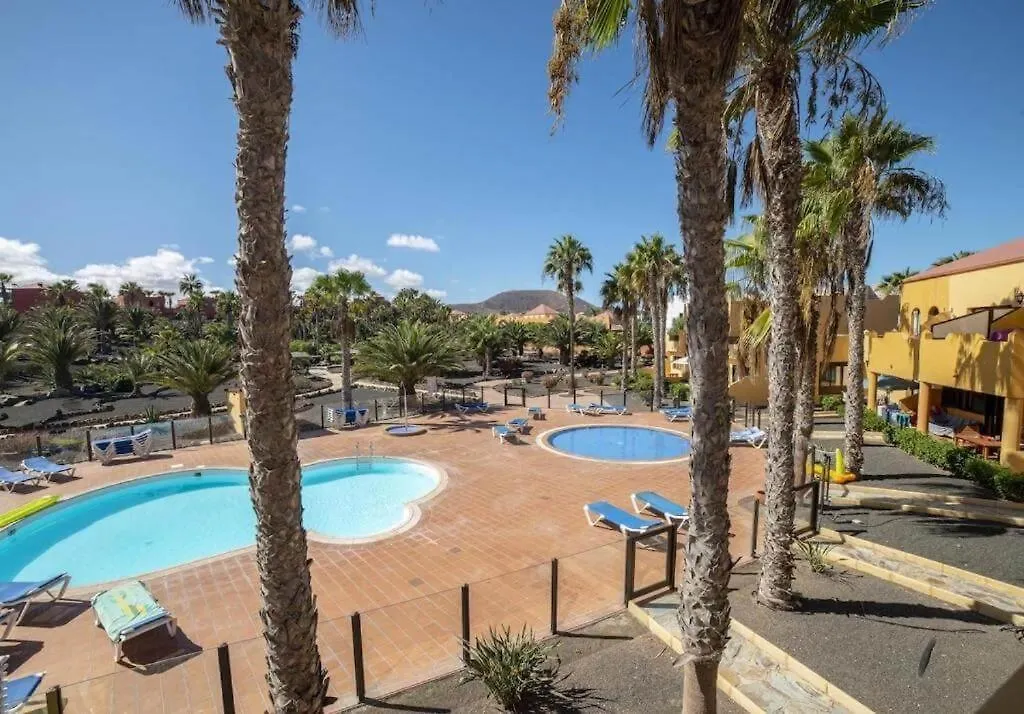 Lightbooking Oasis Royal Corralejo F311