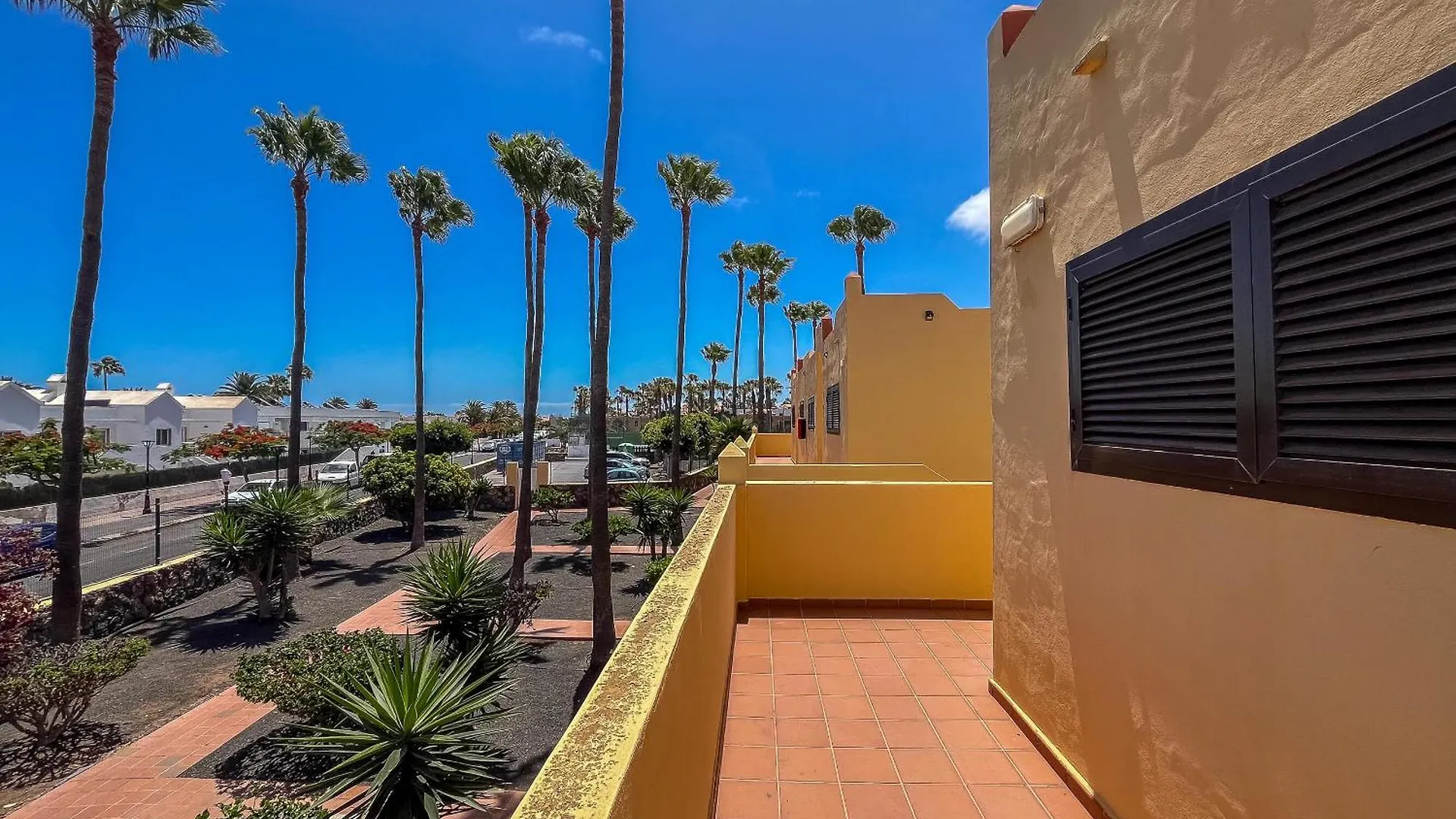Lightbooking Oasis Royal Corralejo F311 Apartamento